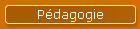 Pdagogie